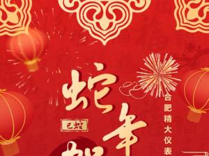 合肥精大儀表2025春節(jié)表彰暨聯(lián)歡會(huì)：回顧精彩，展望