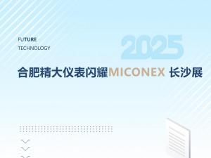 火爆收官！合肥精大儀表閃耀MICONEX長(zhǎng)沙展